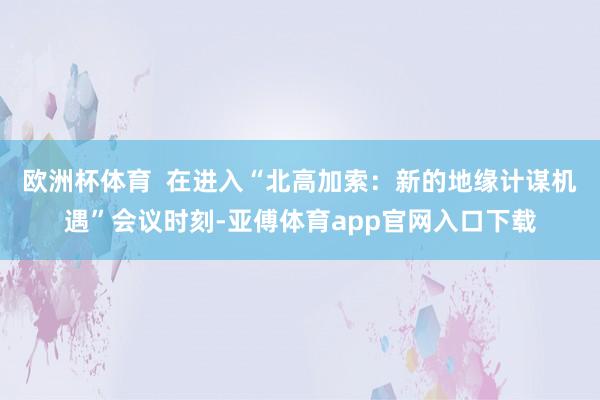 欧洲杯体育  在进入“北高加索：新的地缘计谋机遇”会议时刻-亚傅体育app官网入口下载
