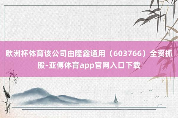 欧洲杯体育该公司由隆鑫通用（603766）全资抓股-亚傅体育app官网入口下载