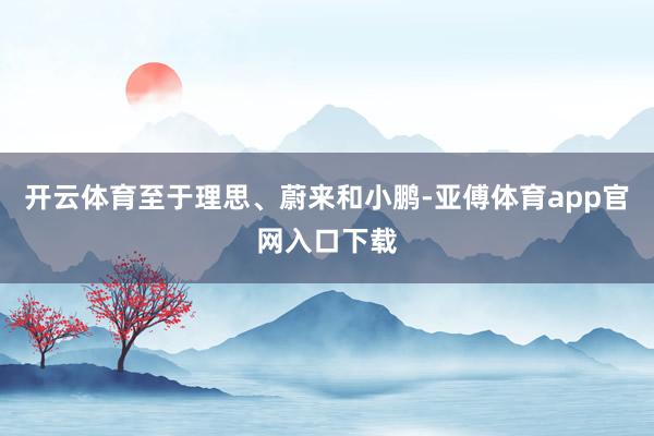 开云体育至于理思、蔚来和小鹏-亚傅体育app官网入口下载