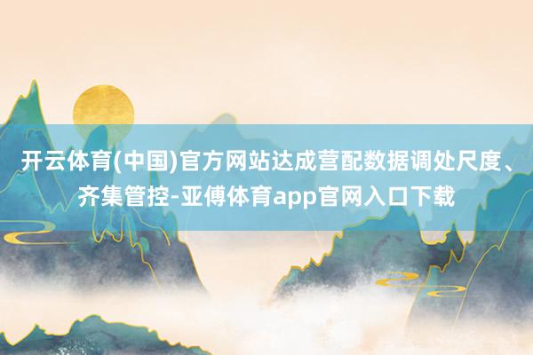 开云体育(中国)官方网站达成营配数据调处尺度、齐集管控-亚傅体育app官网入口下载