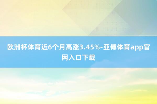 欧洲杯体育近6个月高涨3.45%-亚傅体育app官网入口下载