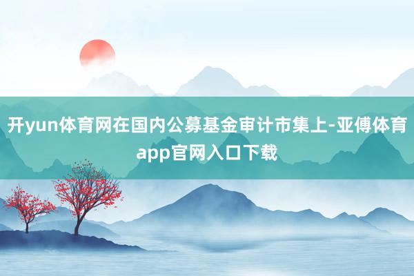 开yun体育网在国内公募基金审计市集上-亚傅体育app官网入口下载
