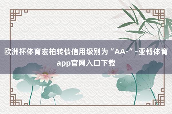 欧洲杯体育宏柏转债信用级别为“AA-”-亚傅体育app官网入口下载