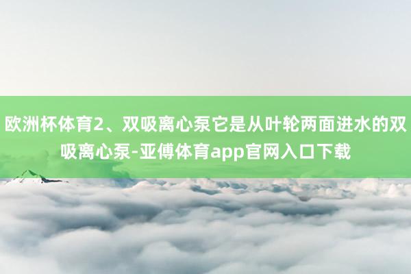 欧洲杯体育2、双吸离心泵它是从叶轮两面进水的双吸离心泵-亚傅体育app官网入口下载