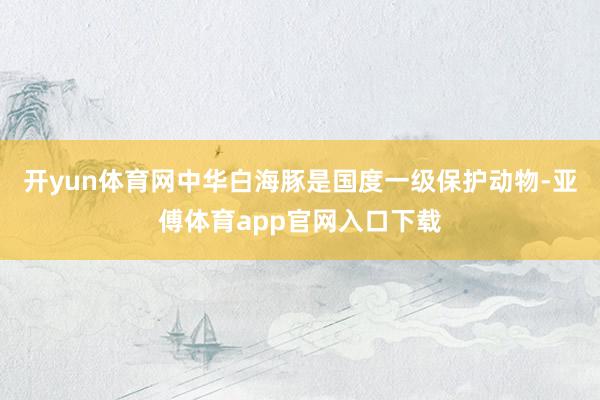 开yun体育网中华白海豚是国度一级保护动物-亚傅体育app官网入口下载