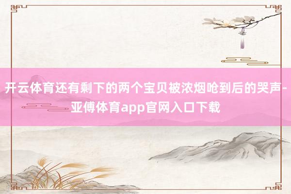 开云体育还有剩下的两个宝贝被浓烟呛到后的哭声-亚傅体育app官网入口下载